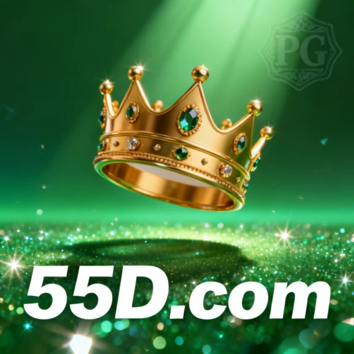55DD.com Logo